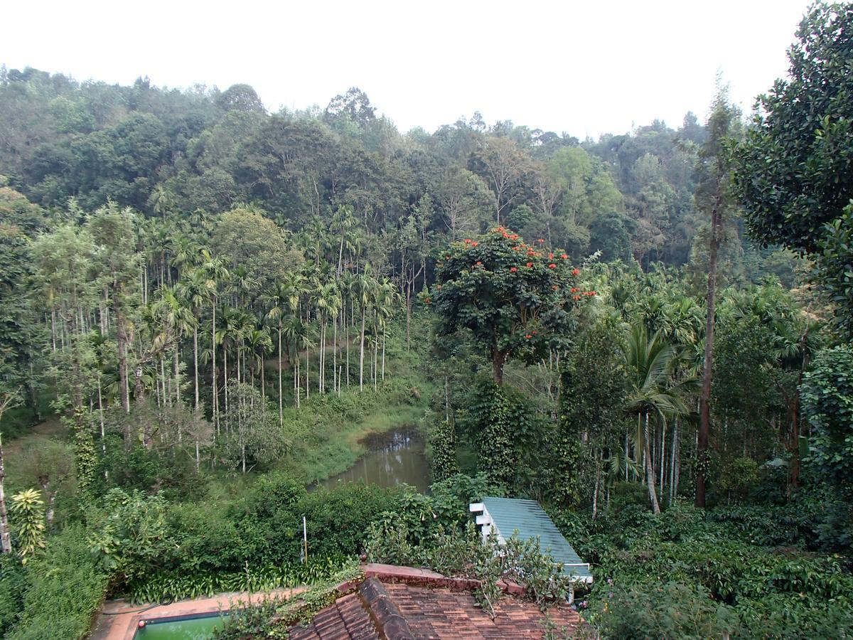 Coorg 4 C'S Little Paradise Madikeri Bagian luar foto