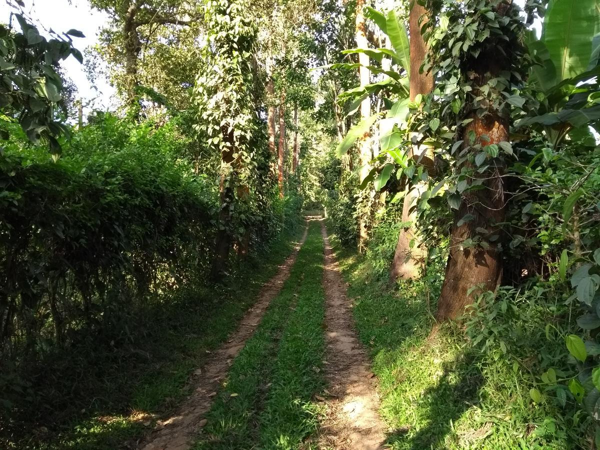Coorg 4 C'S Little Paradise Madikeri Bagian luar foto