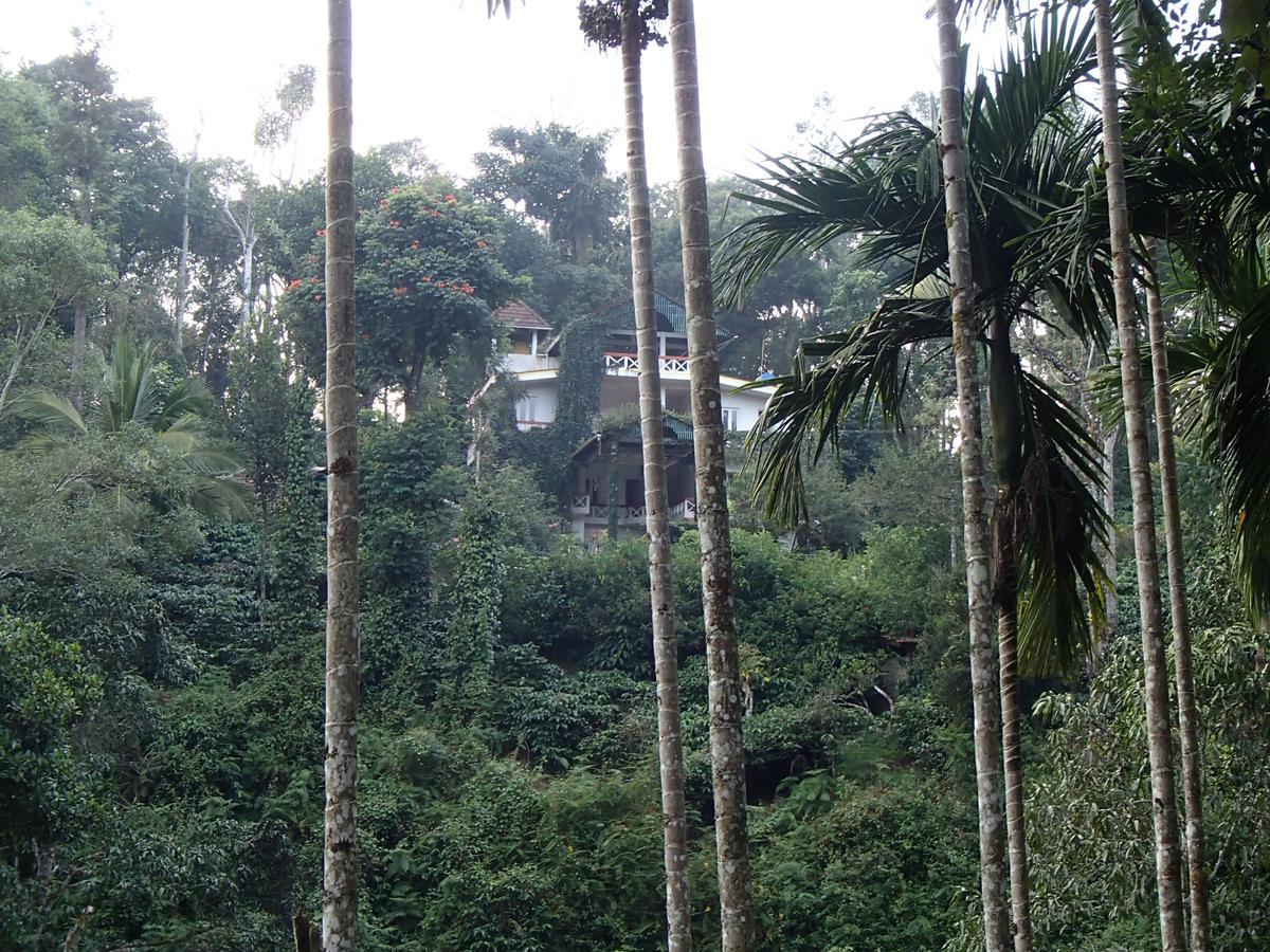 Coorg 4 C'S Little Paradise Madikeri Bagian luar foto